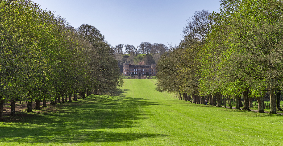 Mount Edgcumbe lawn